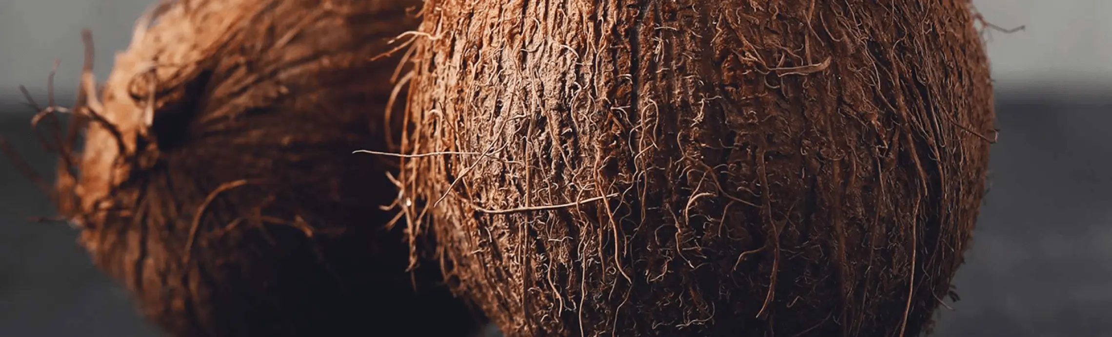 Coconut
